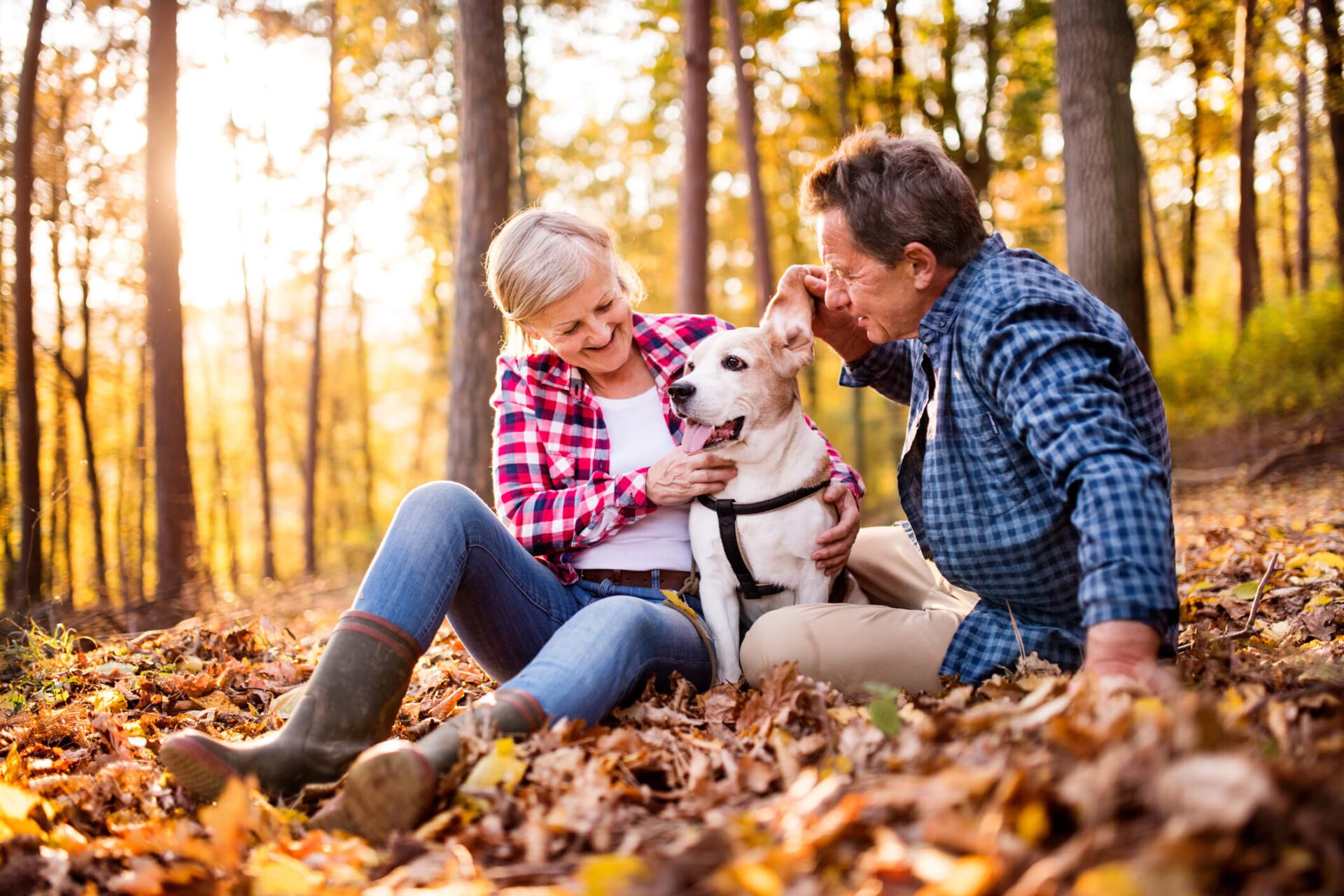 Active senior couple with dog on a walk in a beautiful autumn forest