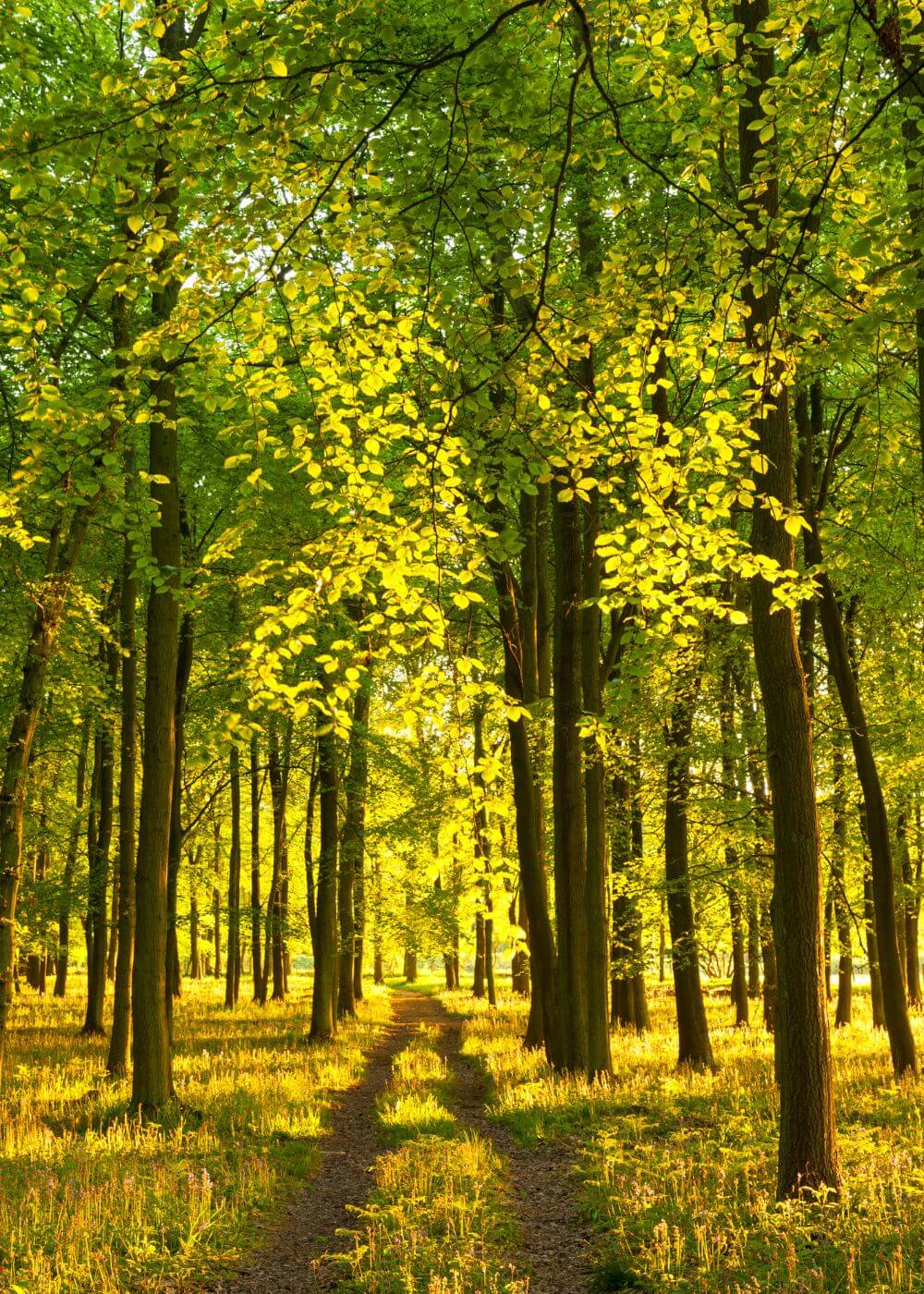 Hertfordshire Holiday Parks