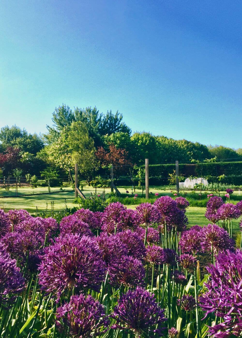 Lincolnshire Holiday Parks