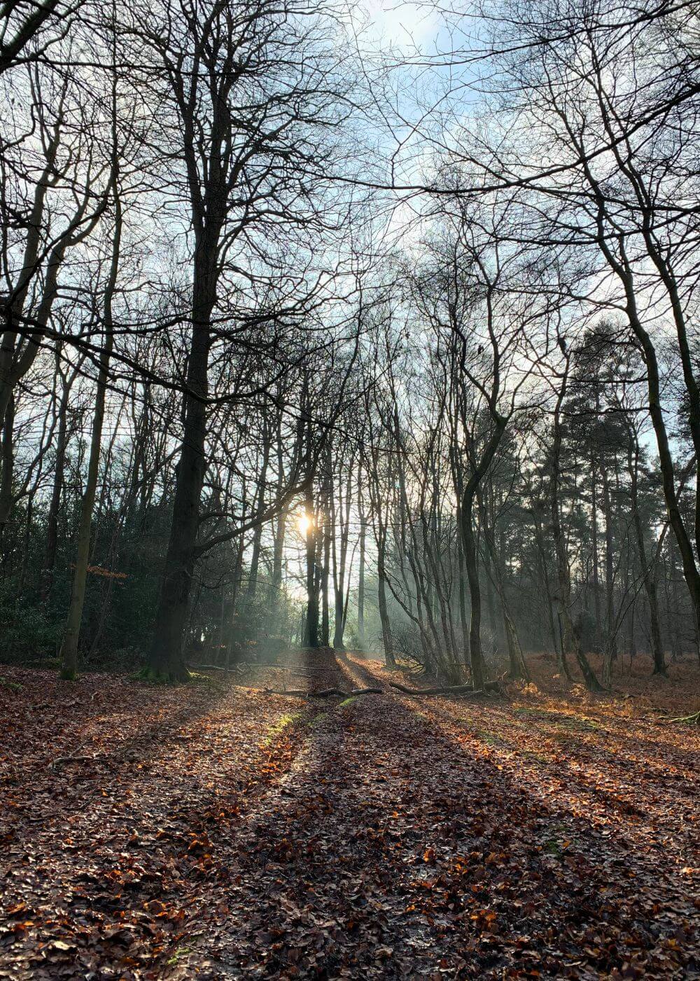 Holiday Parks | North Wessex Downs - Perfect Parks