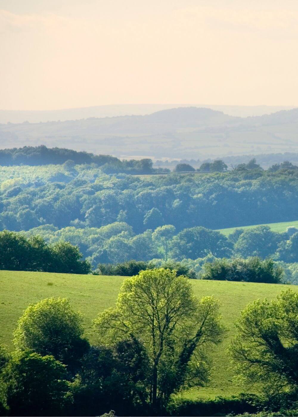 Static Caravans in Forest of Dean