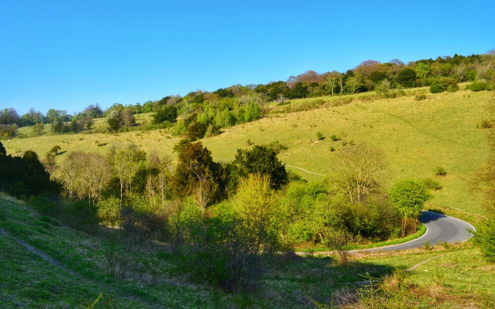 Box Hill Box Hill