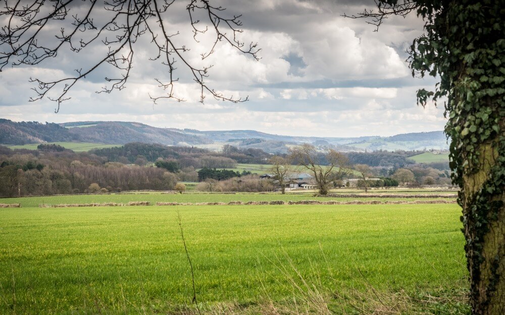 Derbyshire Dales
