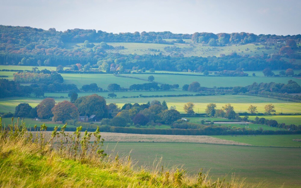Dunstable Downs