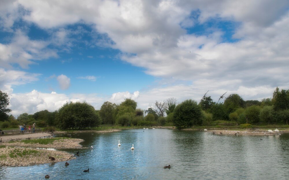 Slimbridge Wetland Centre