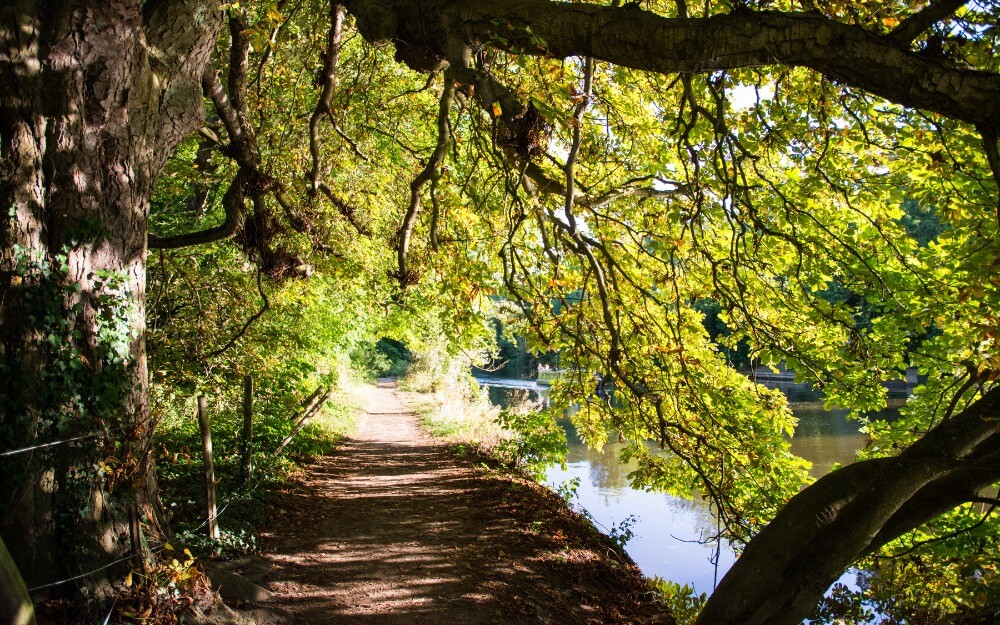 The Thames Path